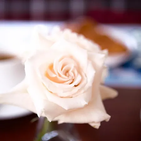 برينسينبوت * أمستردام